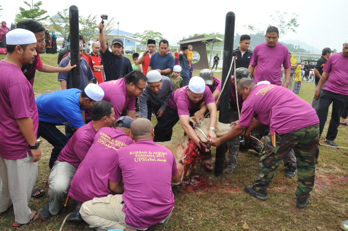 PRO15 150 KORBAN HAS 6712